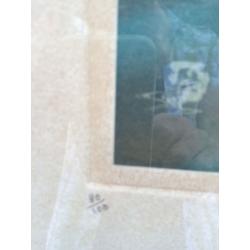 Framed print