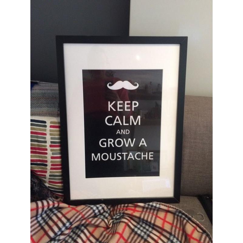Framed moustache image