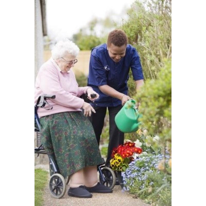 Bluebird Care - Care Workers Dorchester