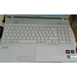 Sony Vaio laptop Windows 10