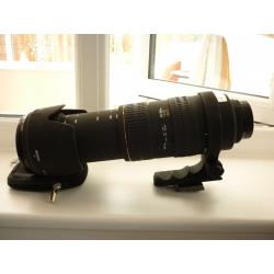 SIGMA BIGMA LENS FOR SALE