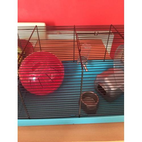 Hamster starter set