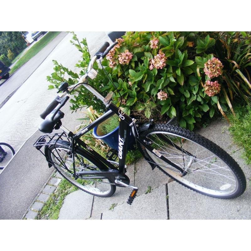 GIANT SINGLE GEAR BIKE HARDLY USED IN GREAT WORKING ORDER