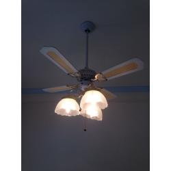 Ceiling light/fan