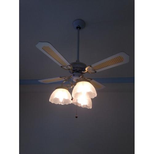 Ceiling light/fan