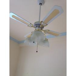 Ceiling light/fan