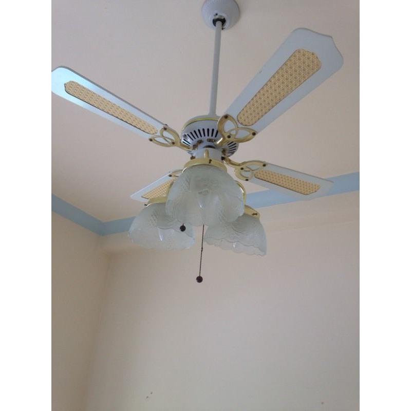 Ceiling light/fan