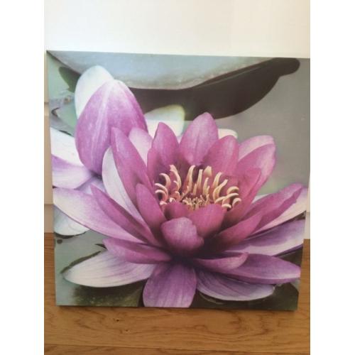 Canvas picture