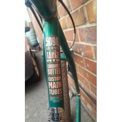 Mens mountain bike