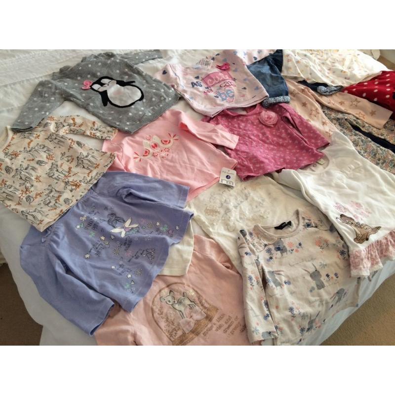 Large bundle of 6-9 month baby girl clothes
