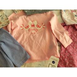 Large bundle of 6-9 month baby girl clothes
