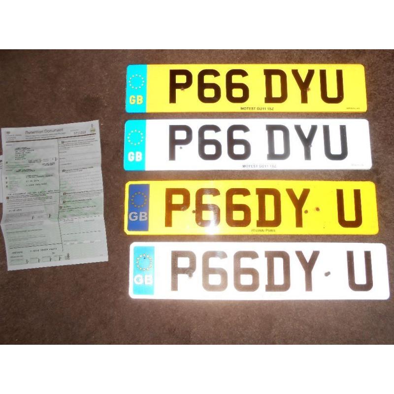 paddy number plate