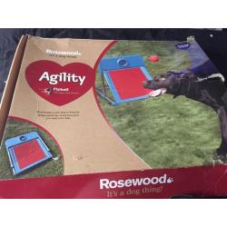 Dog agility flyball