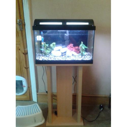 marina aquarium