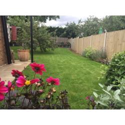 Lawnrite Professional lawn treatment service