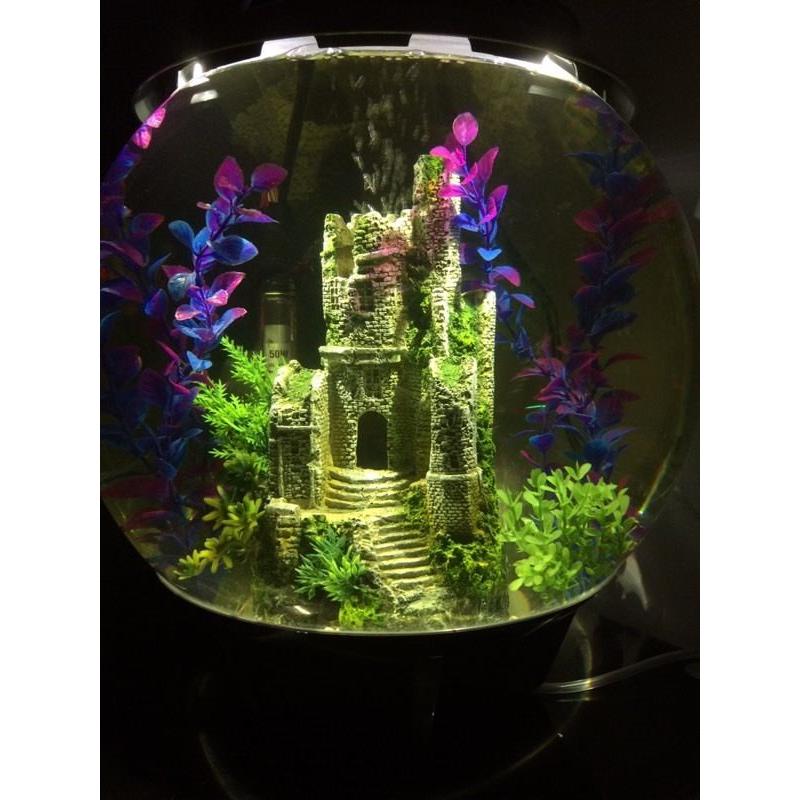 Biorb Halo 30litre + fish + everything
