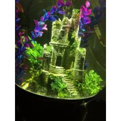 Biorb Halo 30litre + fish + everything
