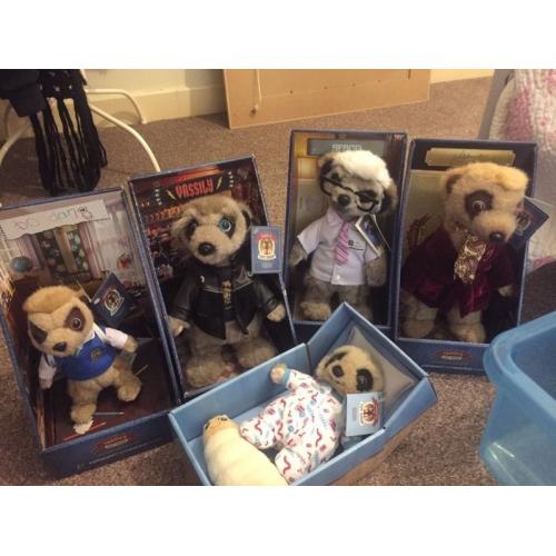 Meerkat collection