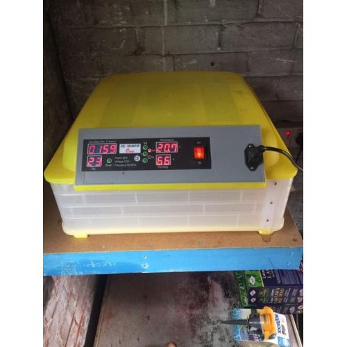 Egg incubator 90 egg
