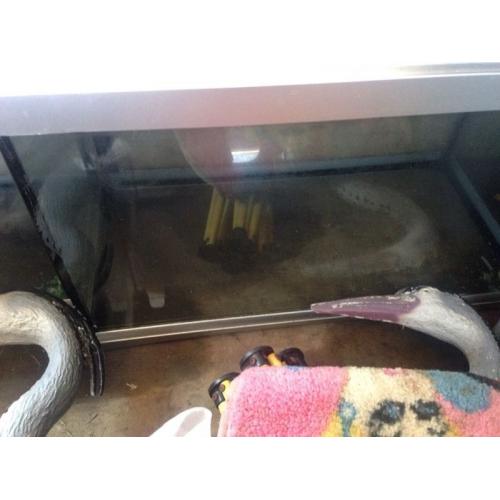 Fish tank