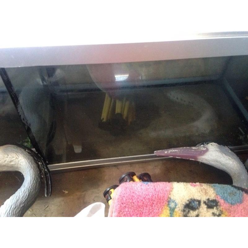 Fish tank