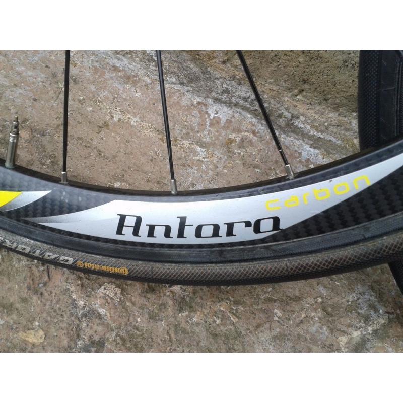 BICYCLE CARBON RACING WHEELS . . FiR. Made in Italy . Dura Ace hubs . Conti Tubs . Bladed spokes .