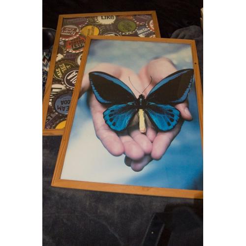 2 framed photo's. Ideal for childs room