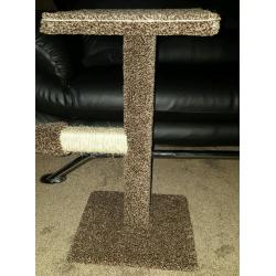 Cat scratch