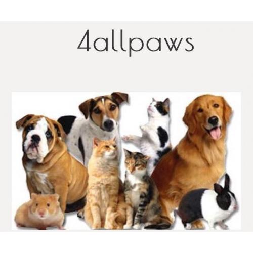 Dog walker and pet sitter
