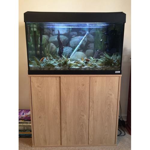 Fluval Roma 125 litre fish tank/ aquarium + stand + accessories