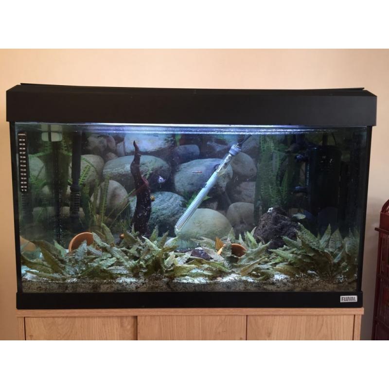 Fluval Roma 125 litre fish tank/ aquarium + stand + accessories