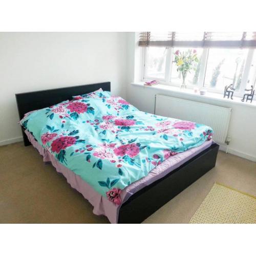 Double bedroom for a female in lovely St Margarets all bills included