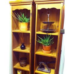 A lovely pair of old pine bookcase