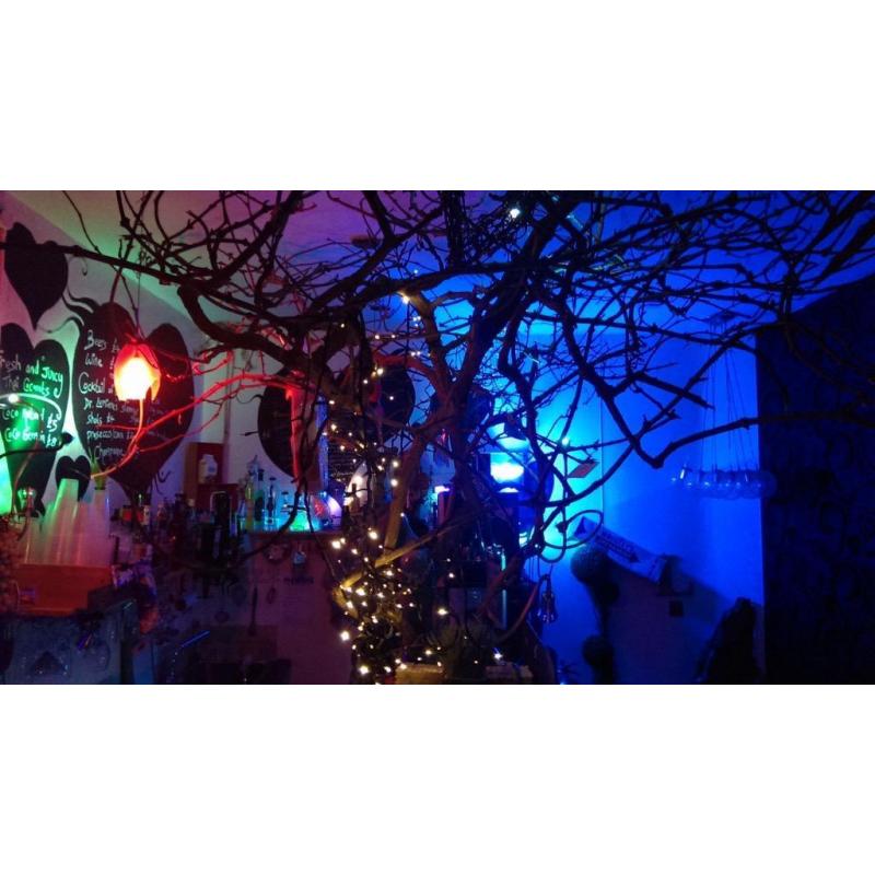 FREE VENUE HIRE private birthday parties / weddings/ corporate/ unique bars- East London