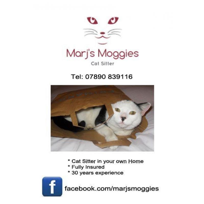 Marj's Moggies Professional Cat Sitter