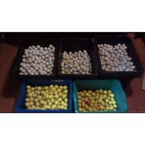 golfballs