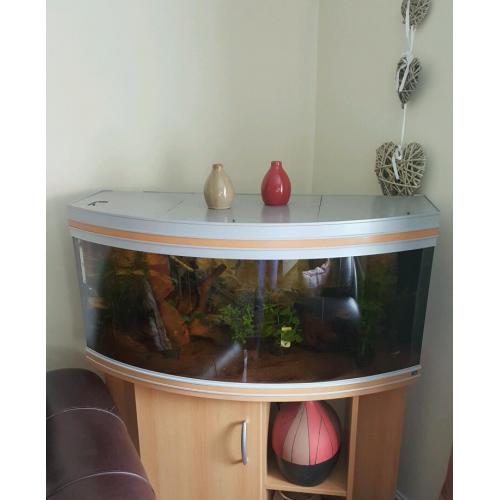 Fish tank