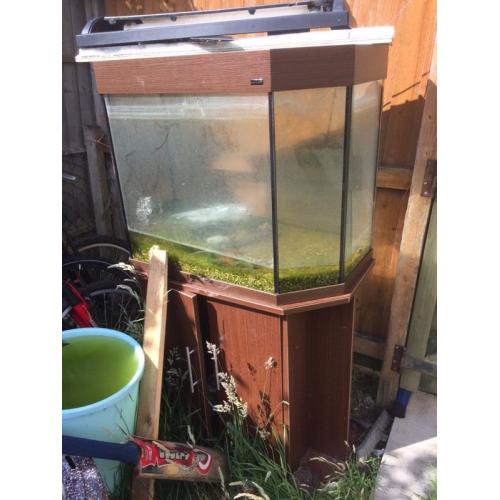 Large fish tank with stand