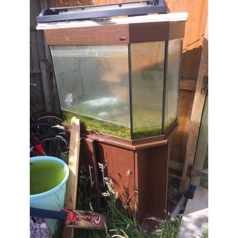 Large fish tank with stand