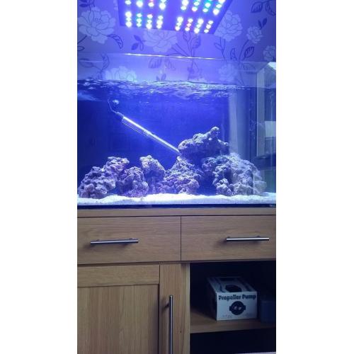 Marine live rock 10kg