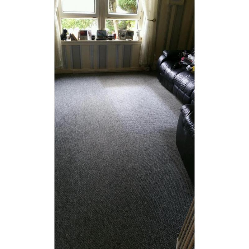 Carpet Cleaning Services till after 8pm every night.