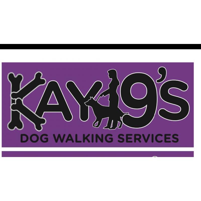 Kay9's Dog Walking Services