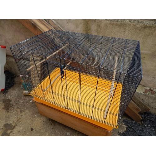Medium bird cage