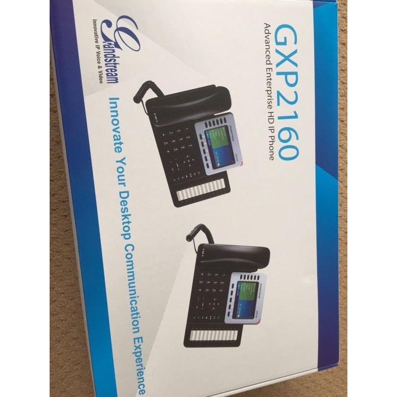 Internet phone and voicemail professional