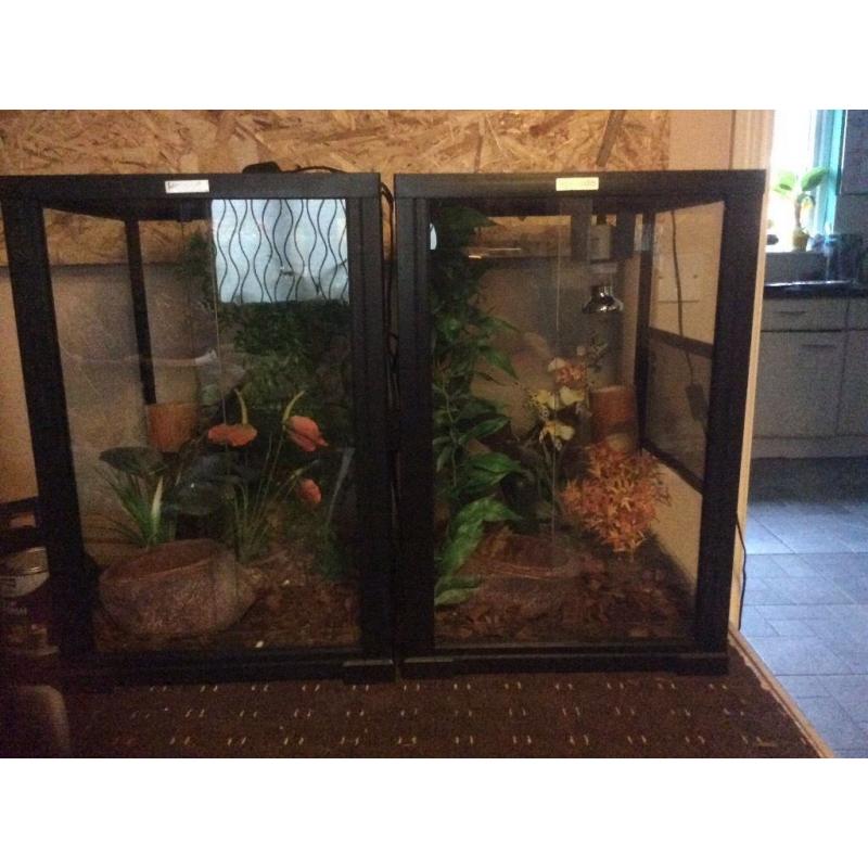 Komodo vivarium