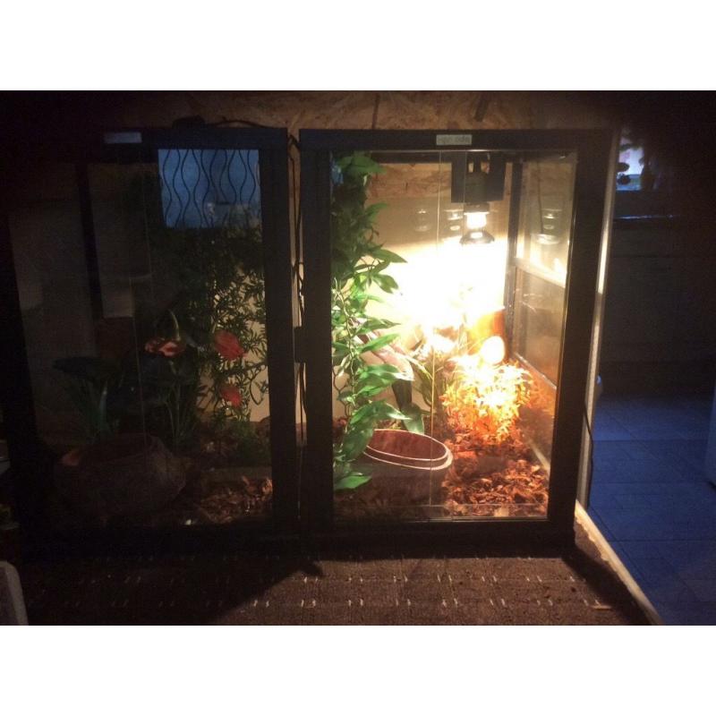 Komodo vivarium