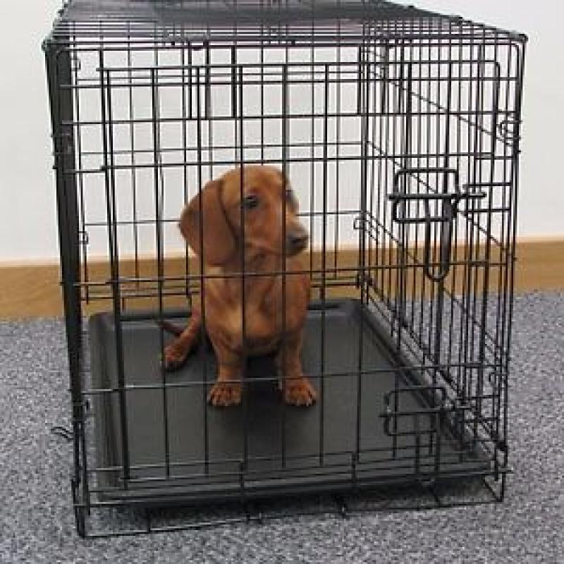 Small dog crate/cage,suit springer/beagle/puppy etc.new unused collect conwy n.wales