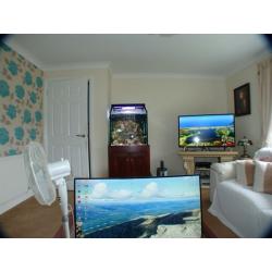 Marine fish tank weir sump