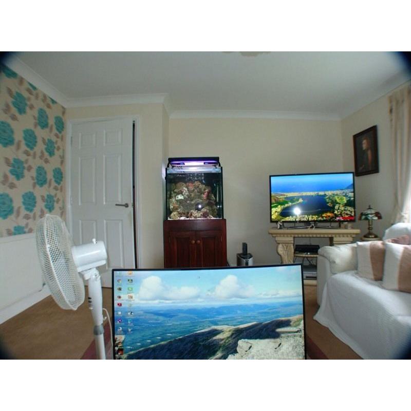 Marine fish tank weir sump