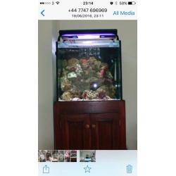 Marine fish tank weir sump